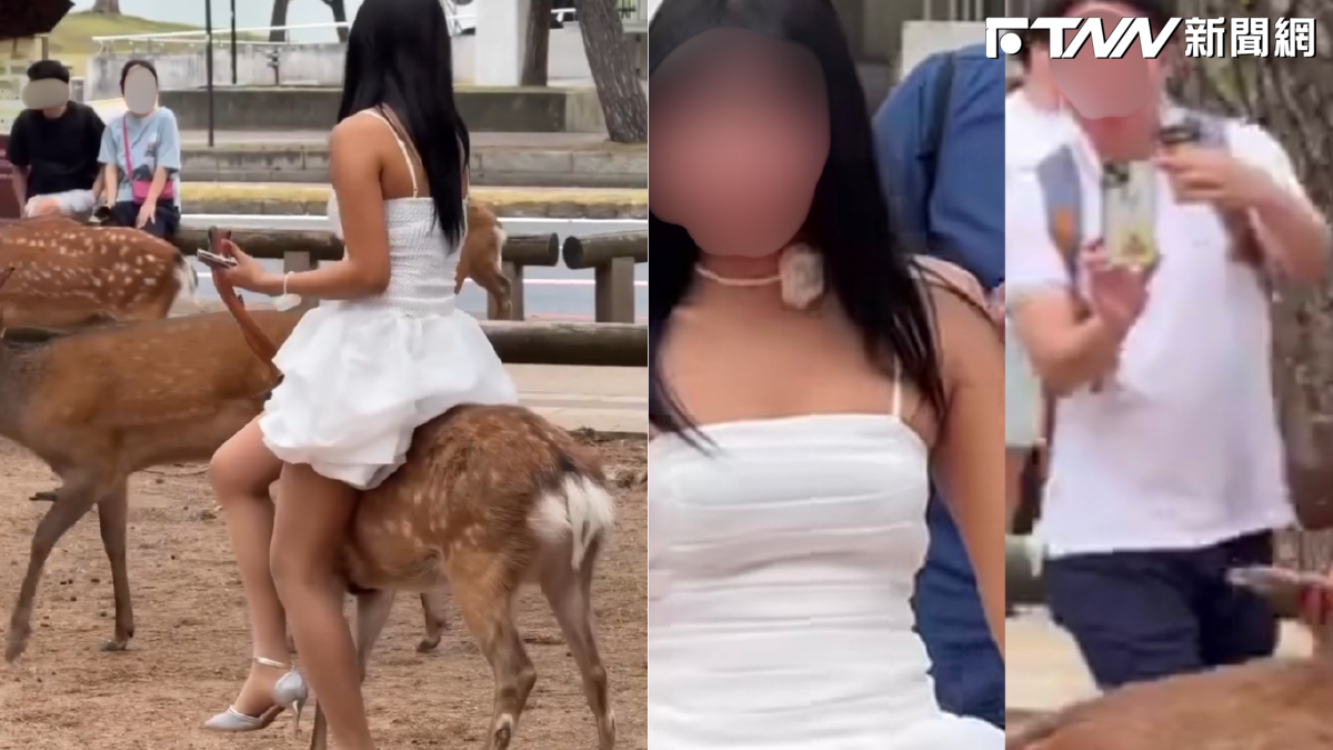 怎麼可以騎鹿！白裙女二度騎奈良鹿遭轟　志工心疼：牠前腳骨折過